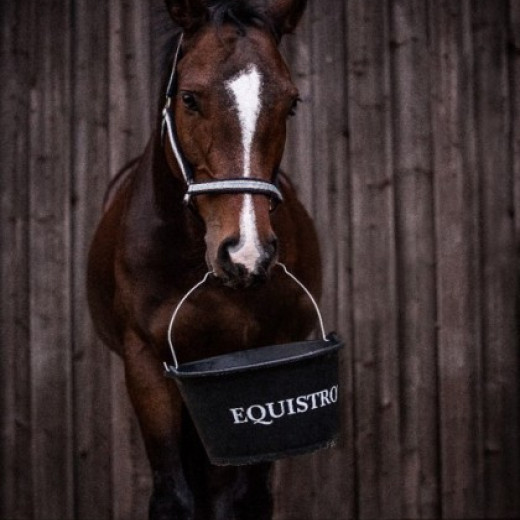 Pferd mit Equistro Eimer